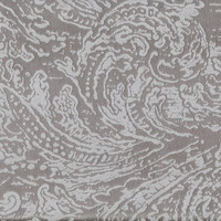 Эмили сильвер