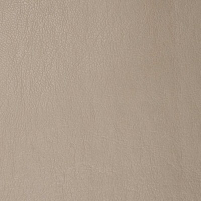 Сара капучино