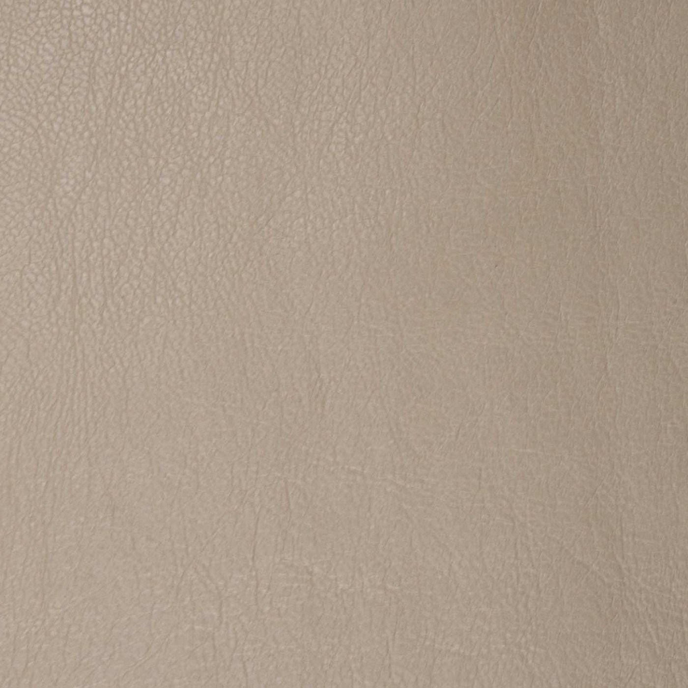 Сара капучино