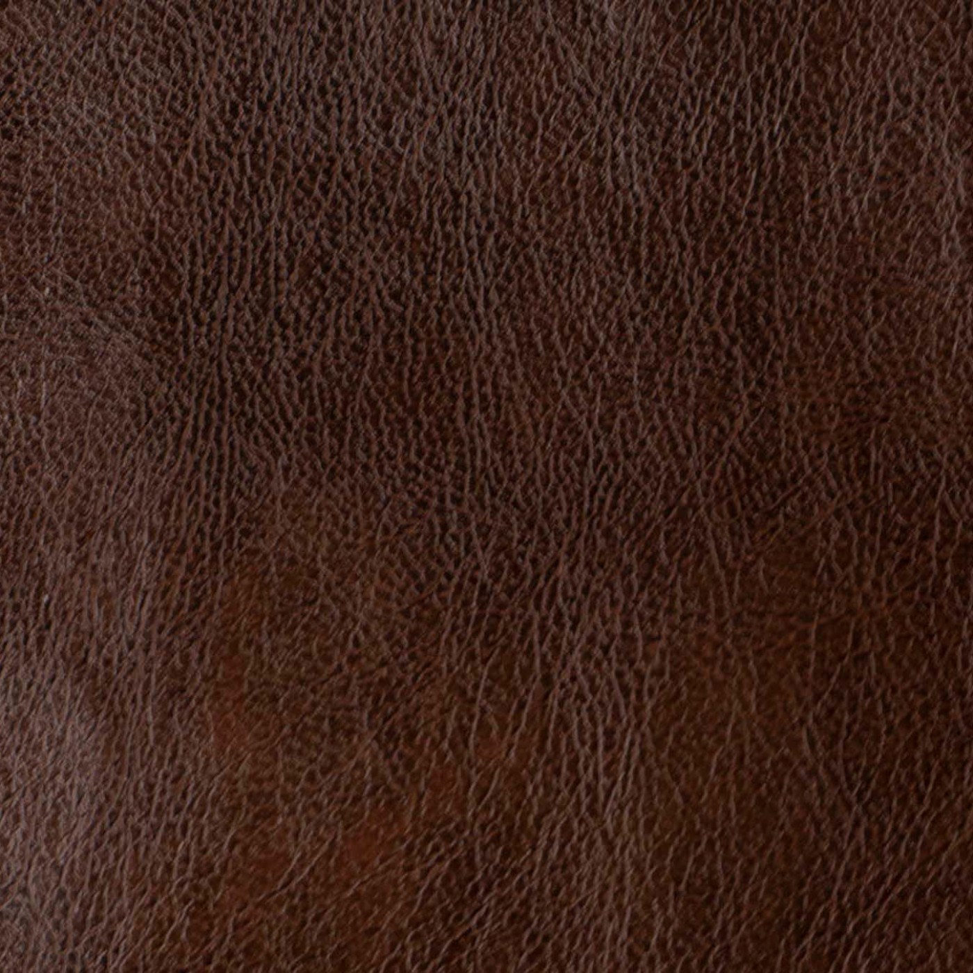 Сара когнак