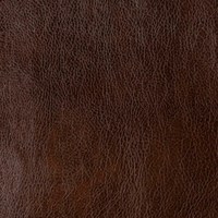 Сара когнак