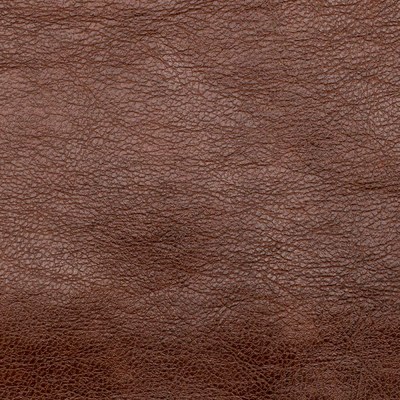 Сара бренди