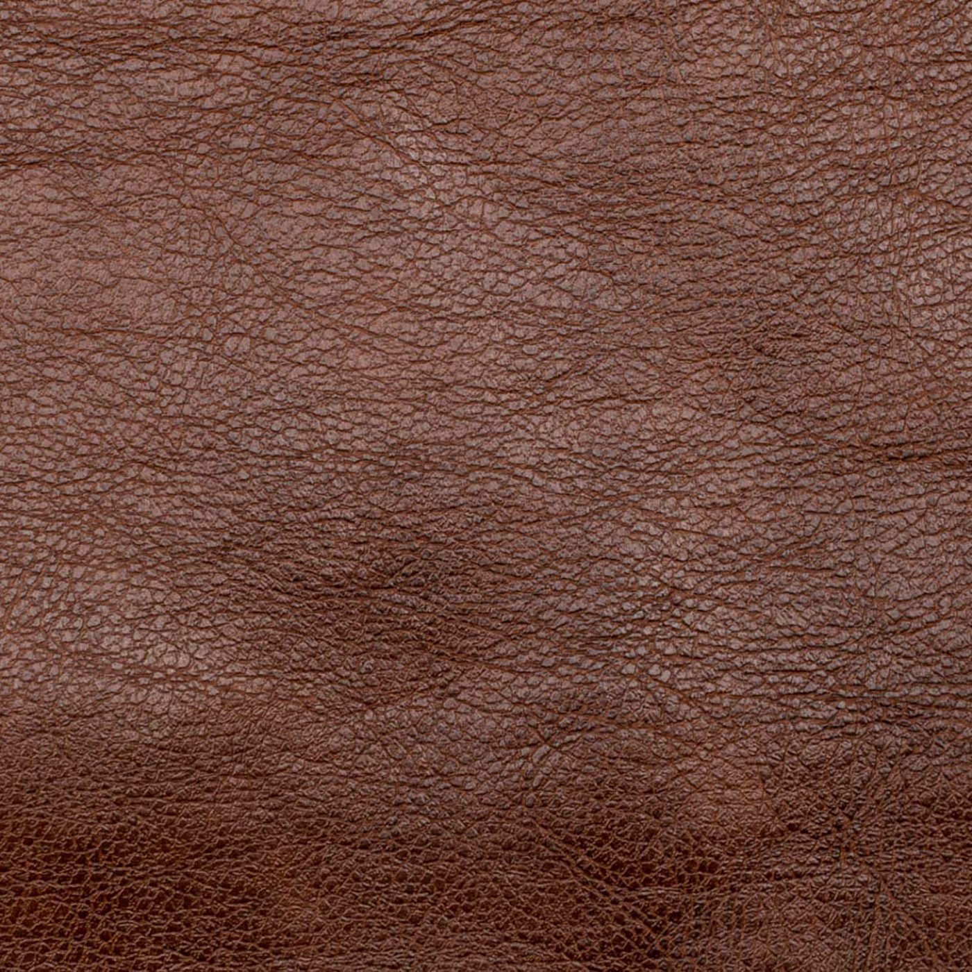 Сара бренди