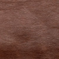 Сара бренди