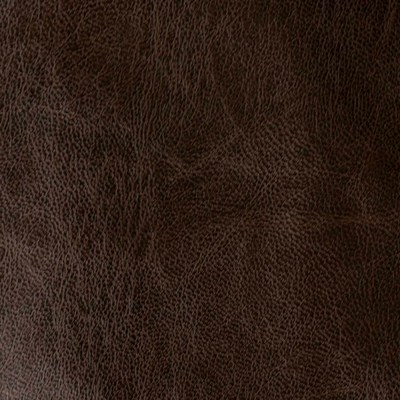 Сара дк браун