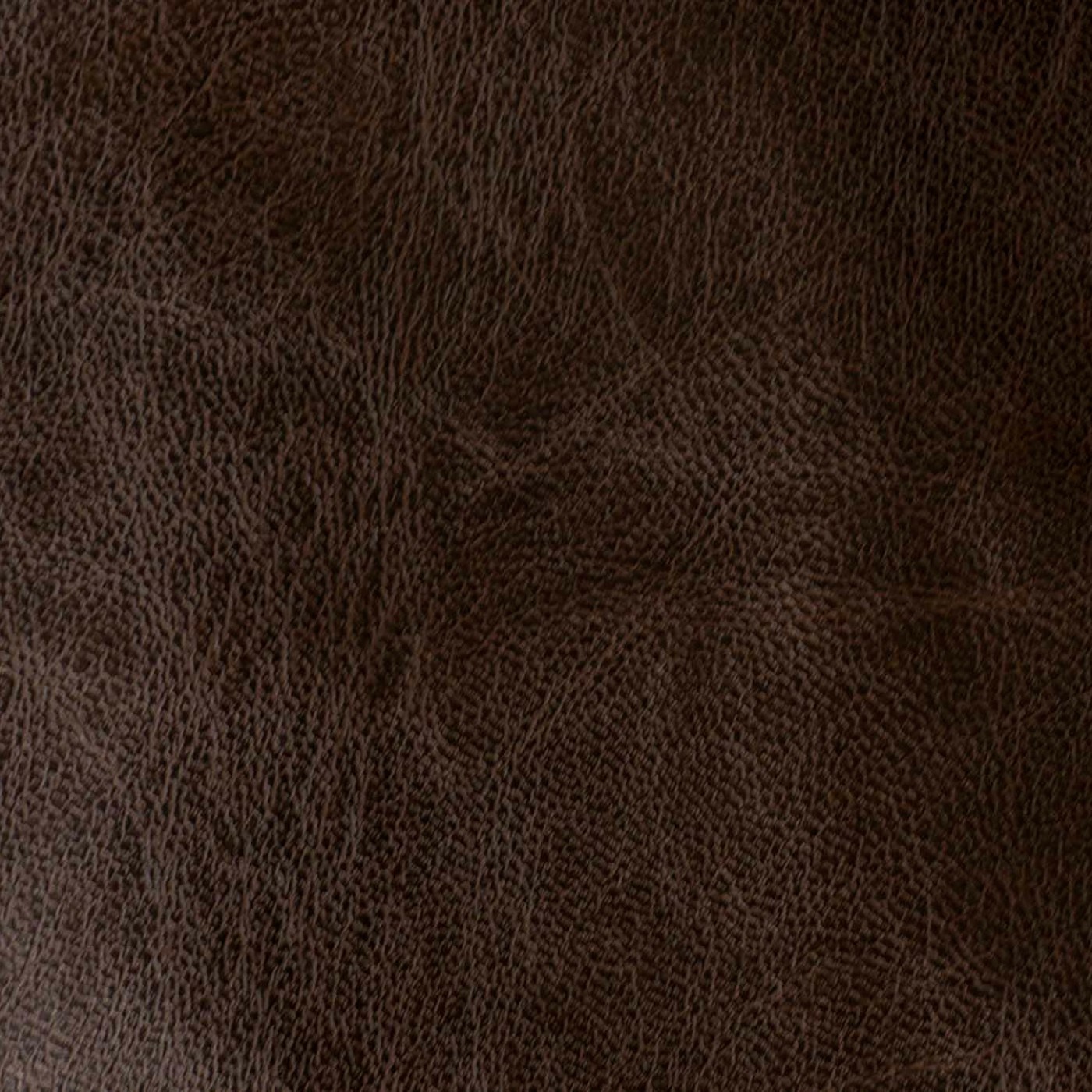 Сара дк браун