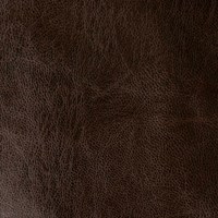 Сара дк браун