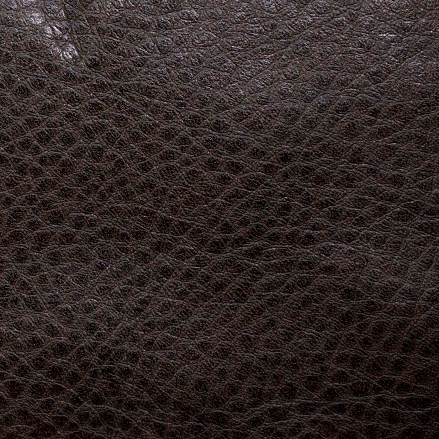 Варана дк браун