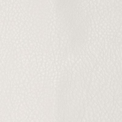 Варана вайт