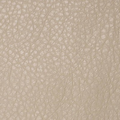 Варана капучино