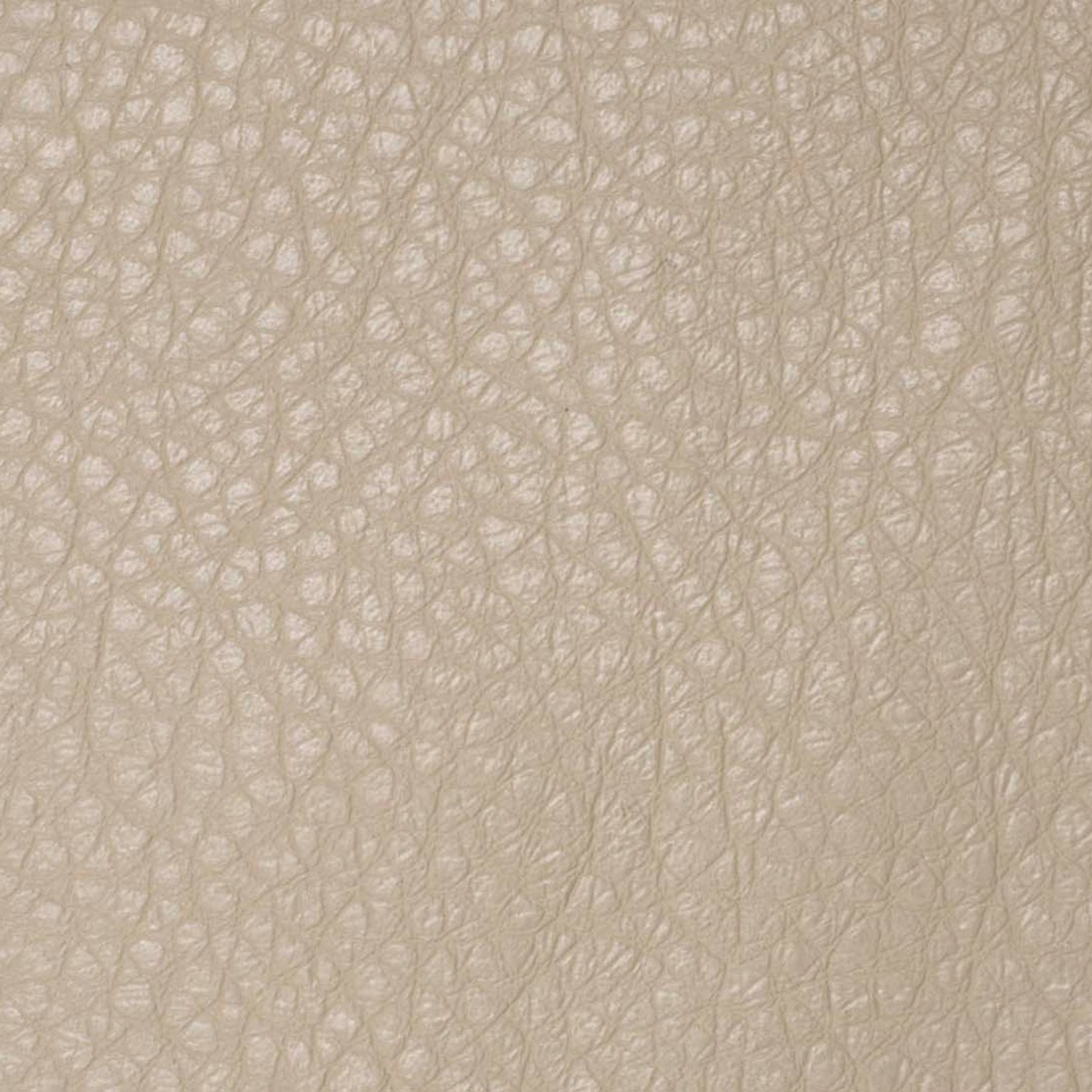 Варана капучино