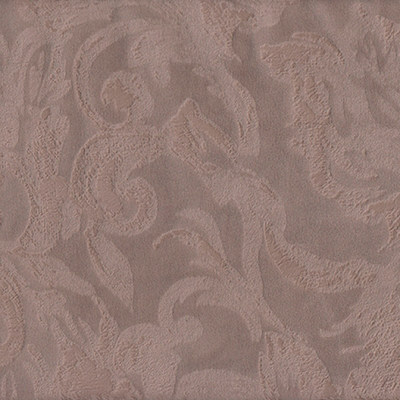 Эйприл кэмел