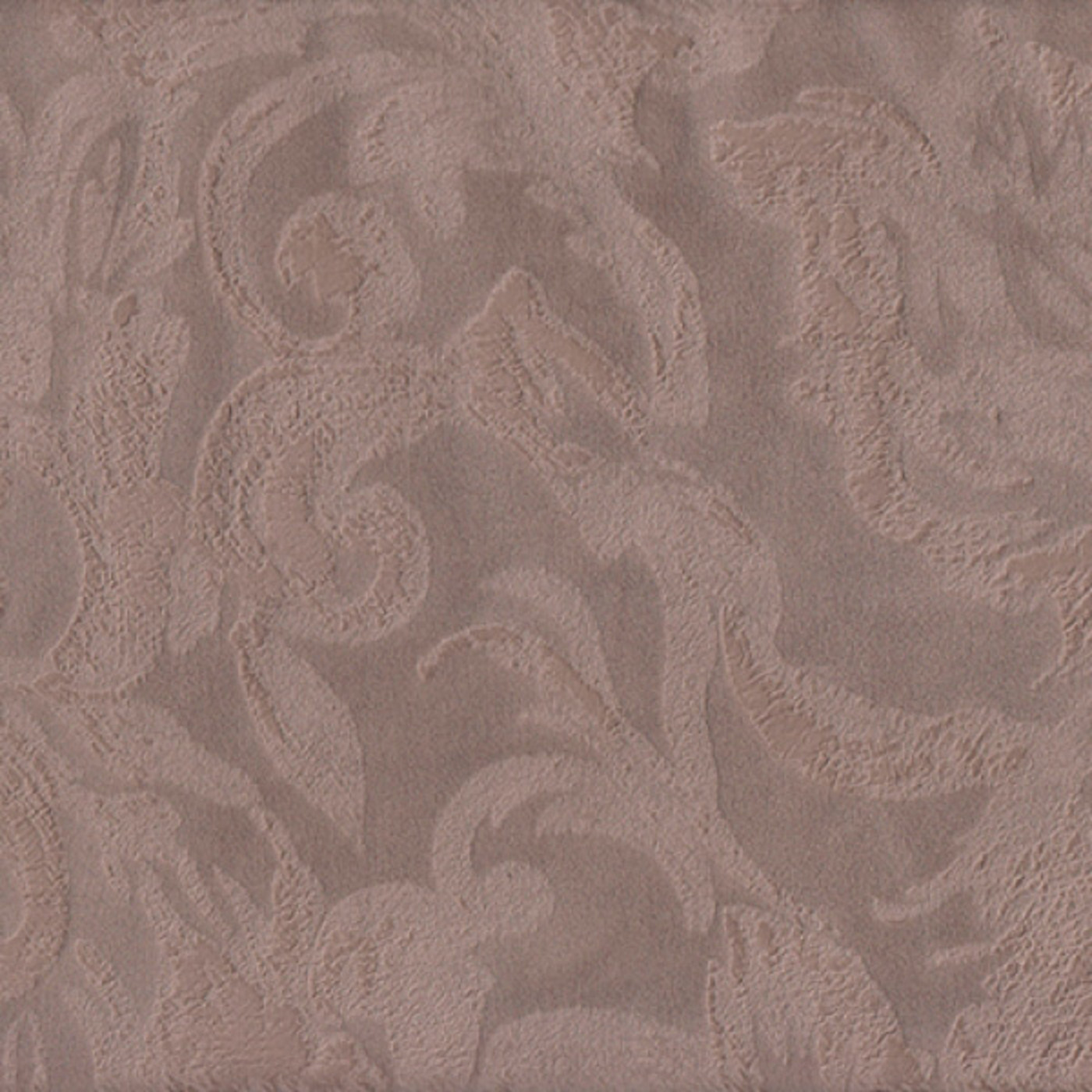 Эйприл кэмел