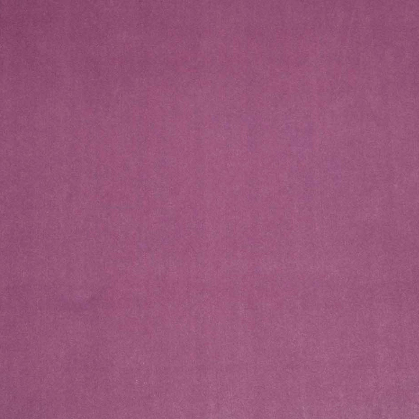 Бэнтли 29 (BENTLEY 29)