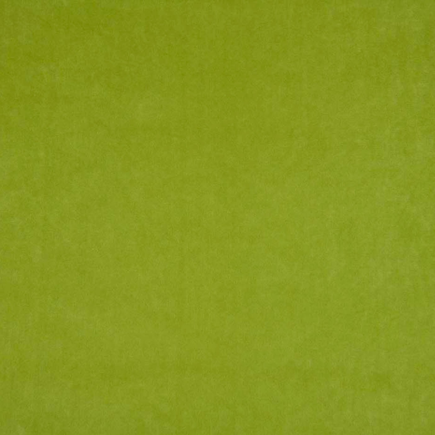 Бэнтли 31 (BENTLEY 31)