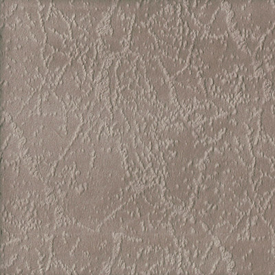 Прайд кэмел