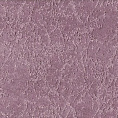 Прайд лилак