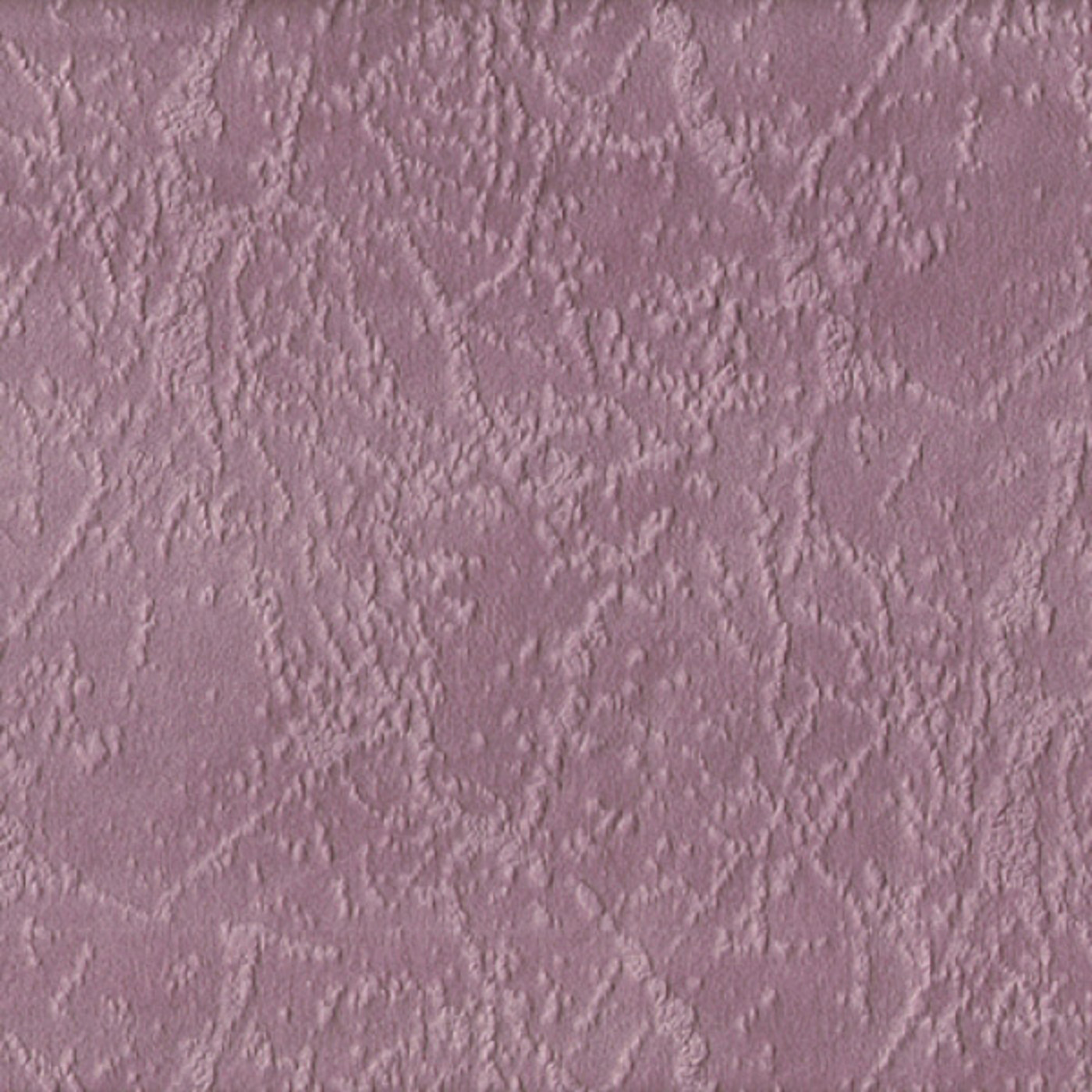 Прайд лилак