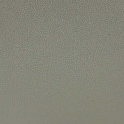 Лайф грэй мун (Серое утро - Life gray mor n)