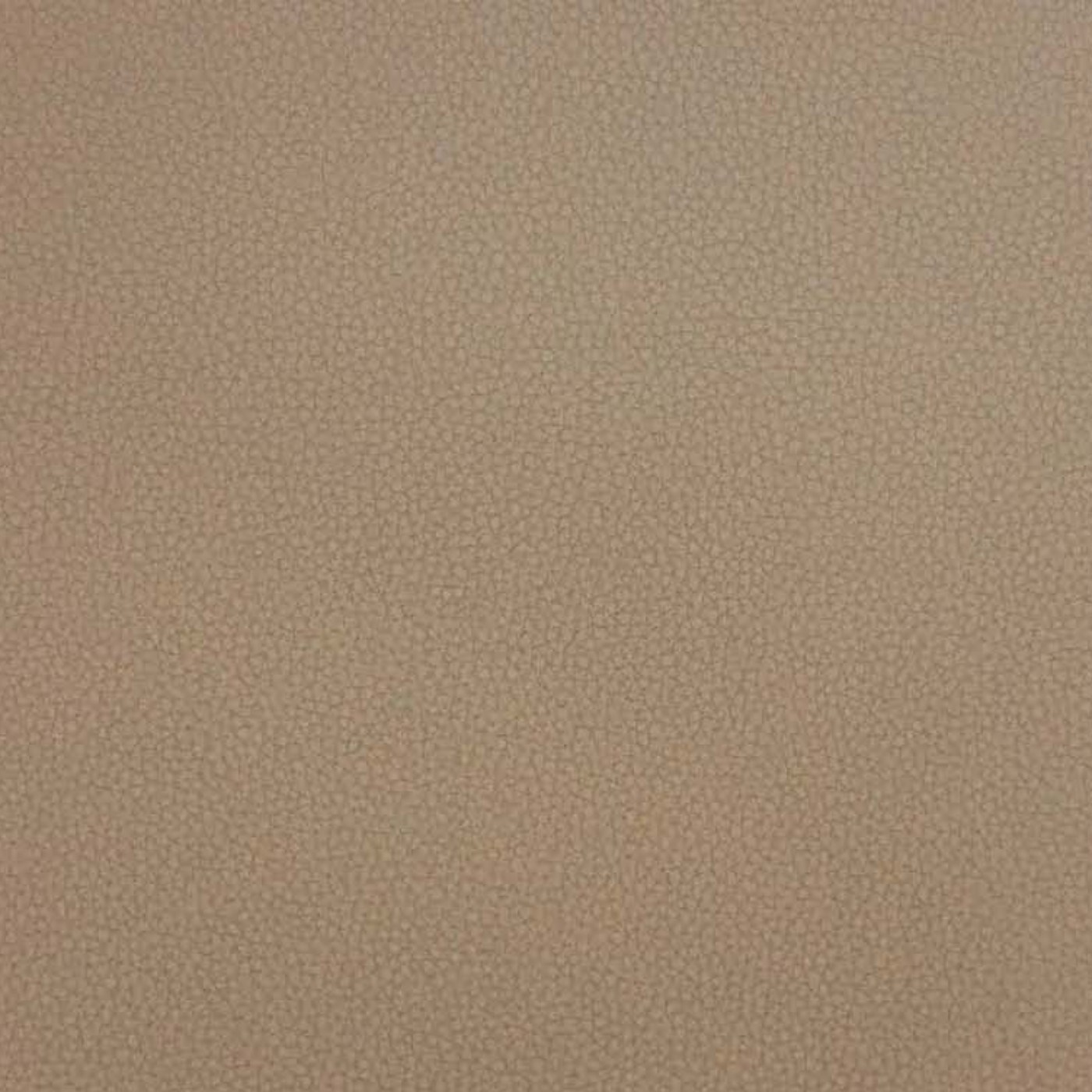 Лайф акорн (Желудь - Life acor n)