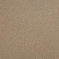 Лайф акорн (Желудь - Life acor n)