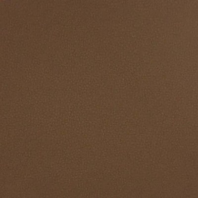 Лайф кэмел (Верблюд - Life camel)