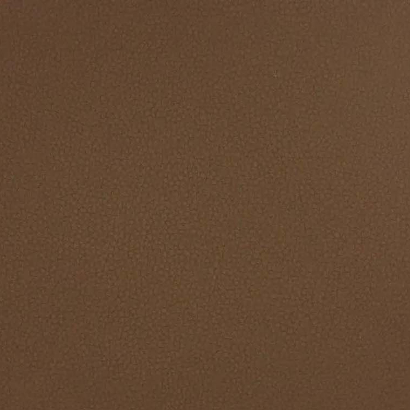 Лайф кэмел (Верблюд - Life camel)