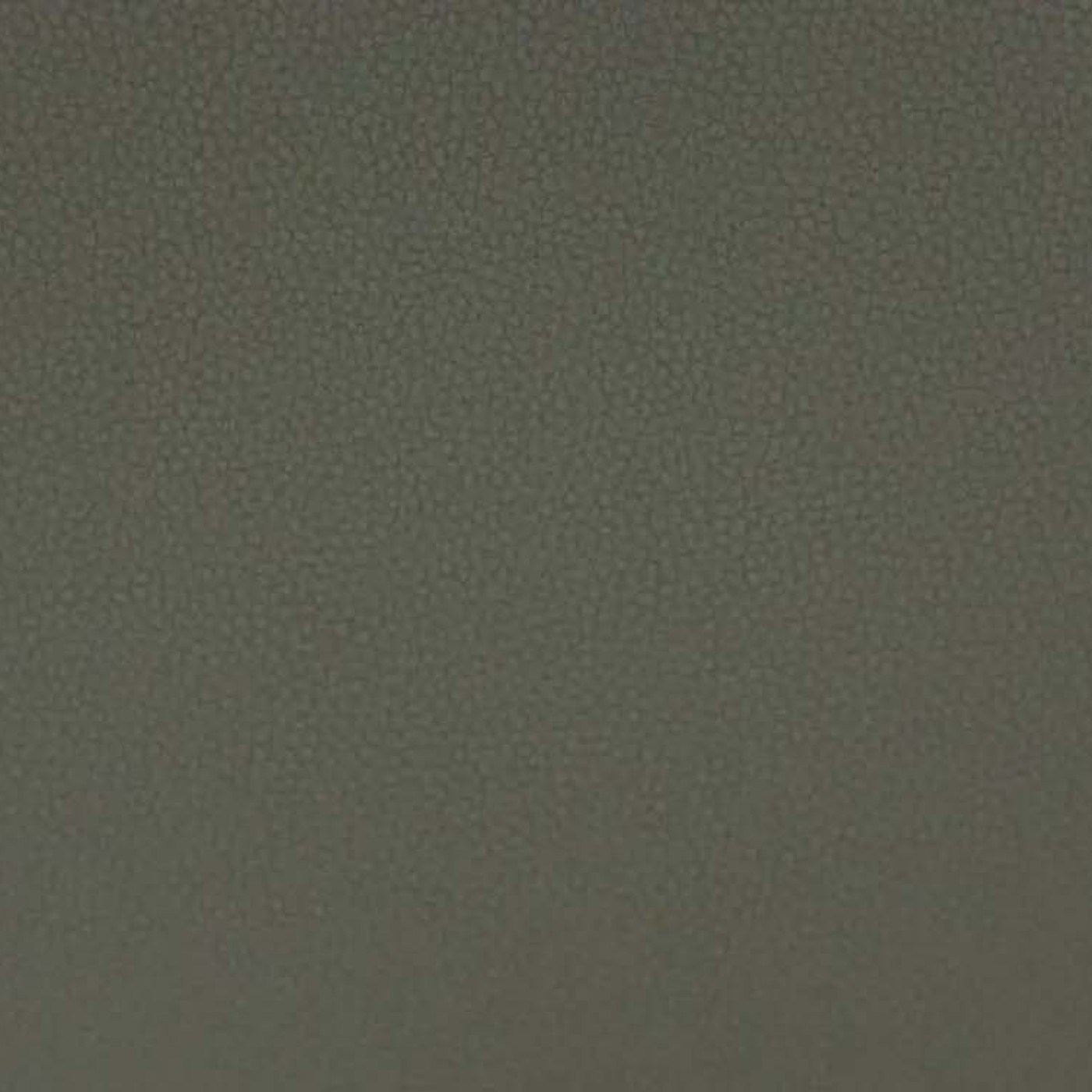 Лайф вальнут (Грецкий орех - Life walnut)