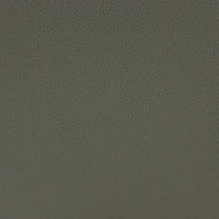 Лайф вальнут (Грецкий орех - Life walnut)