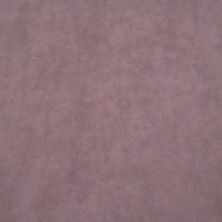 Боска 21 (пыльная роза)