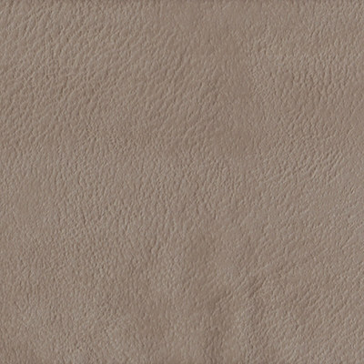 Плаза кэмел