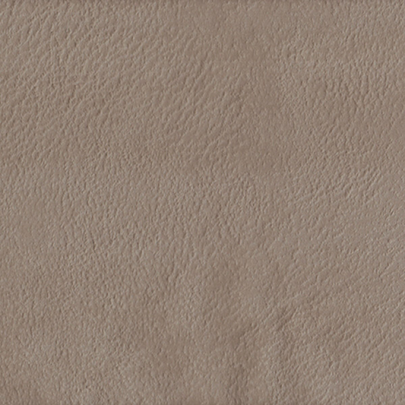 Плаза кэмел