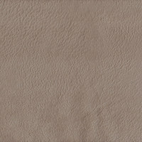 Плаза кэмел