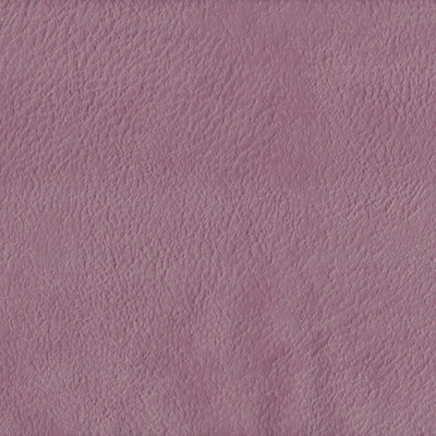 Плаза лилак