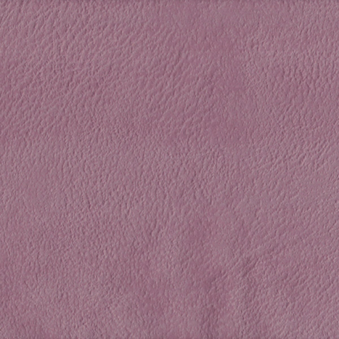 Плаза лилак