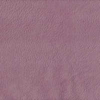 Плаза лилак