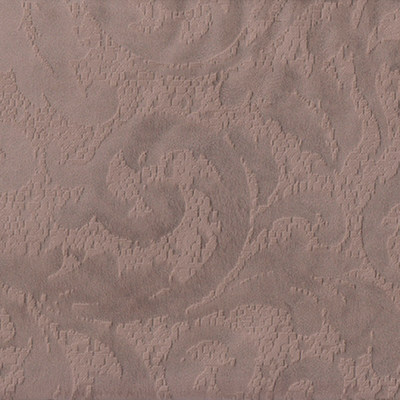 Магма кэмел