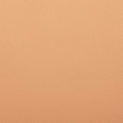 Экокожа сент