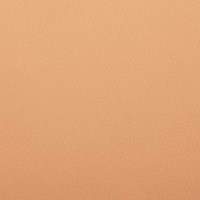 Экокожа сент