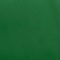 Экокожа грас