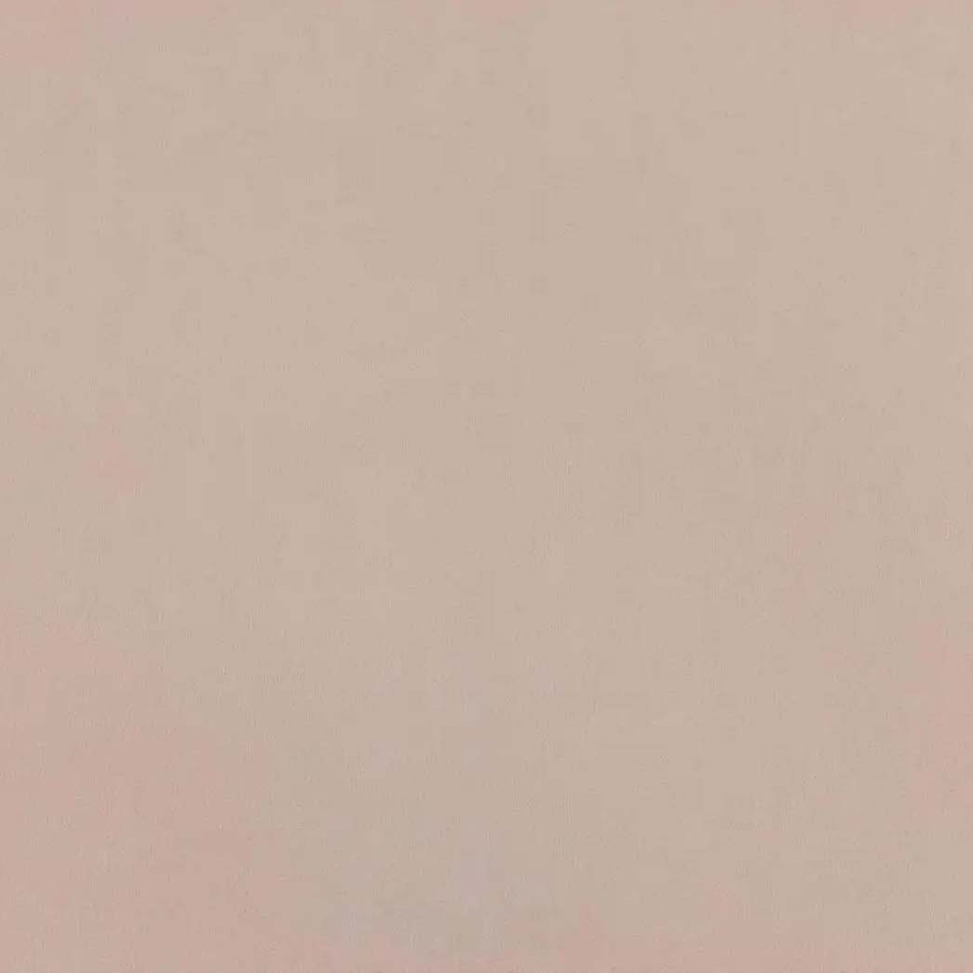 Катания айвори