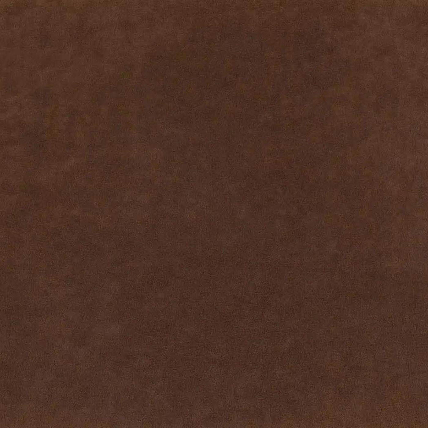 Катания кориза