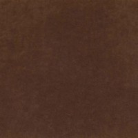 Катания кориза