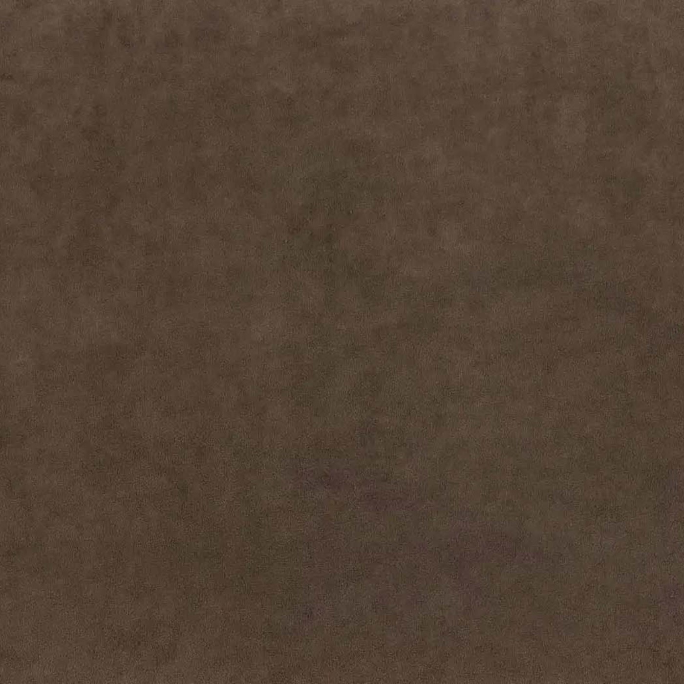 Катания мокко