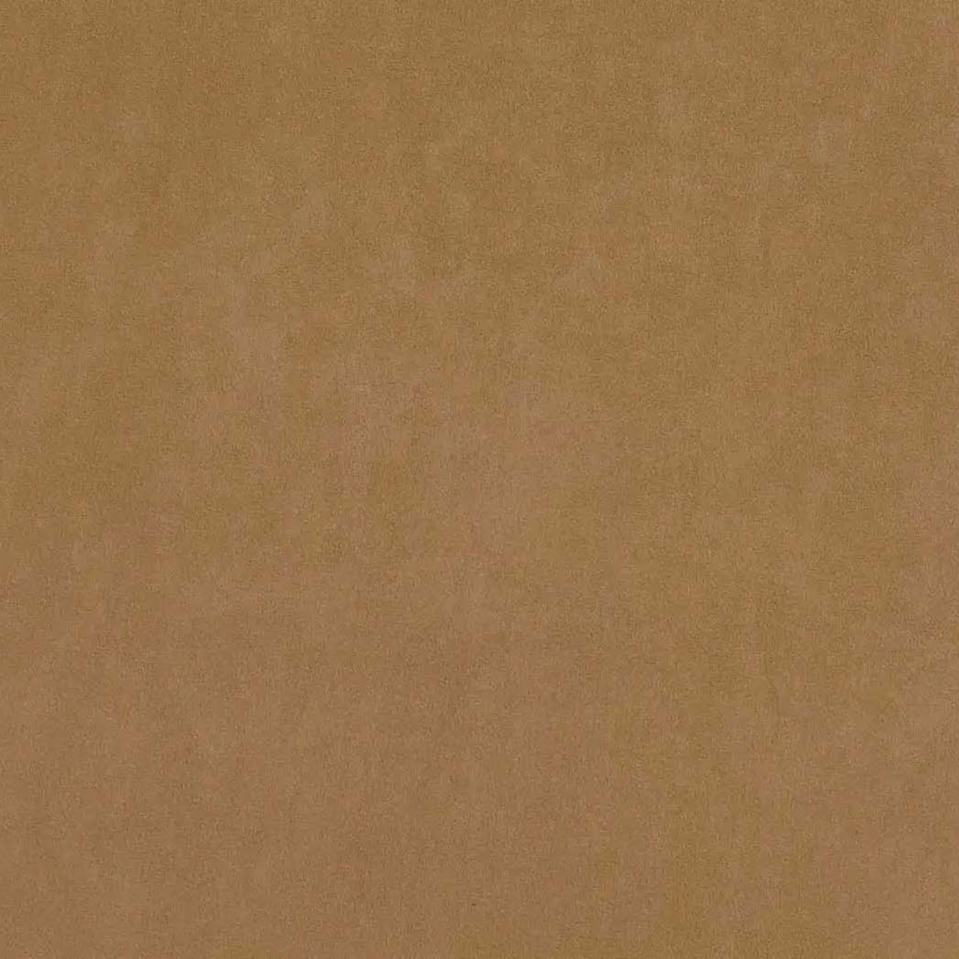 Катания камел