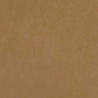 Катания камел