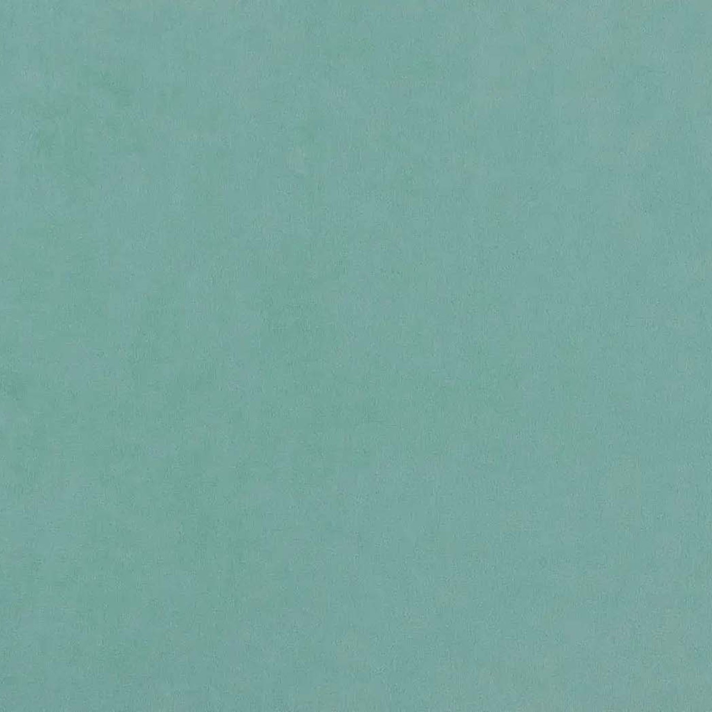 Катания лагун