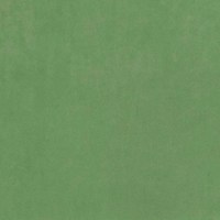 Катания минт