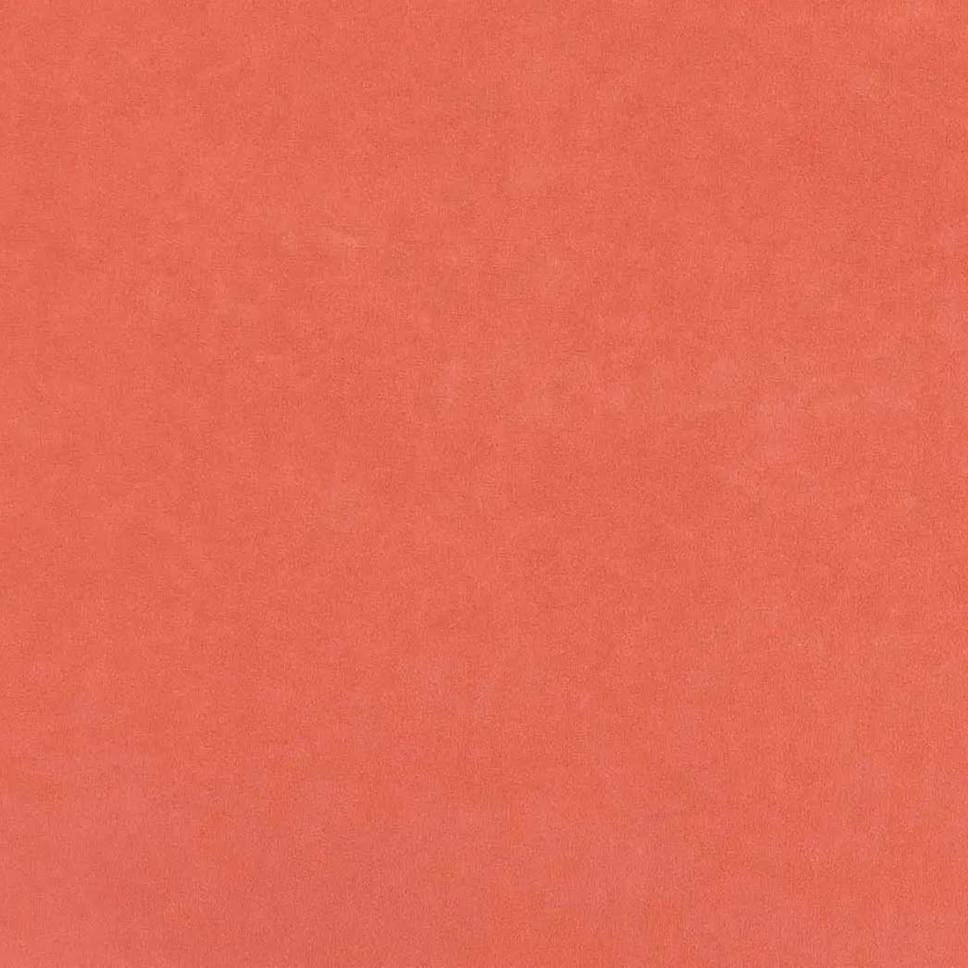 Катания корал