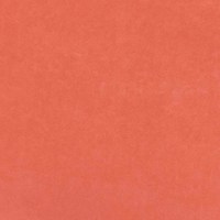 Катания корал